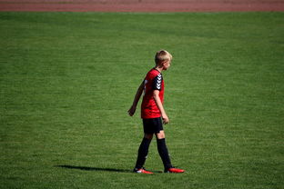 星空娱乐最新网址-俱乐部青训选拔日活动吸引众多有潜力少年参与，足球青训俱乐部招生宣传